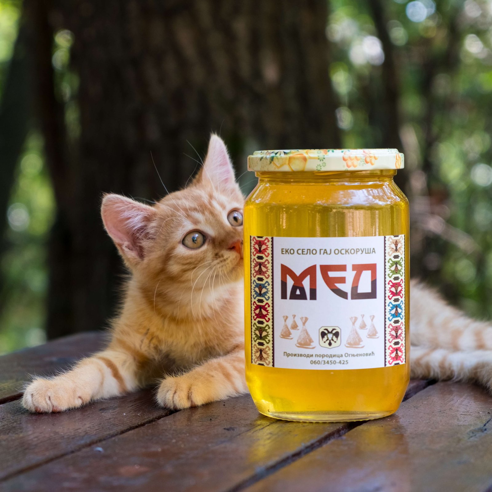 bagremov med todor pešterski