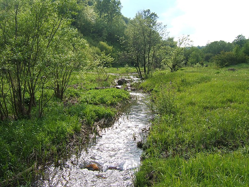 dolina-mikuljske-reke