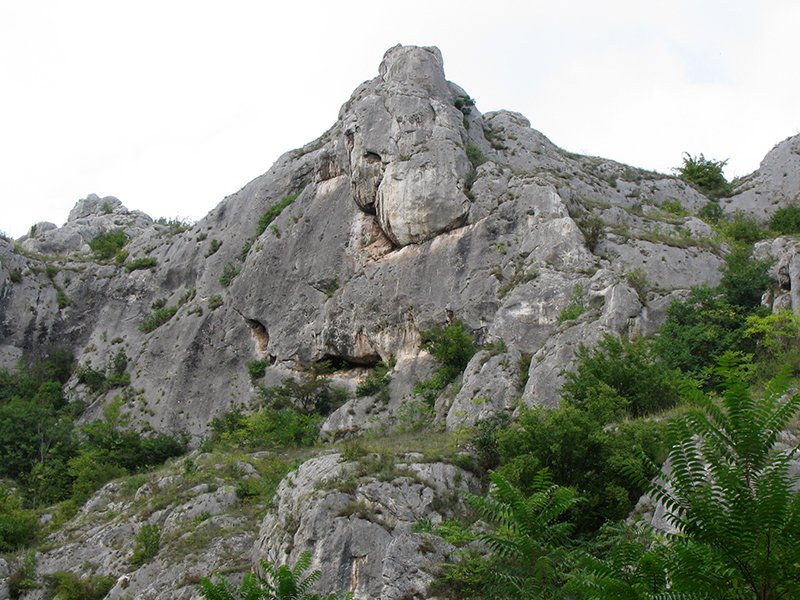 Jelašnička klisura