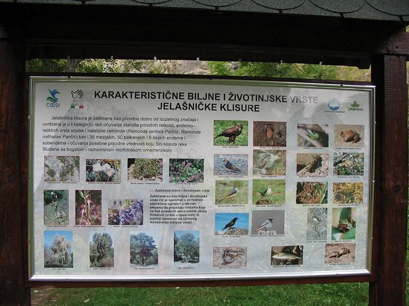 Jelašnička klisura