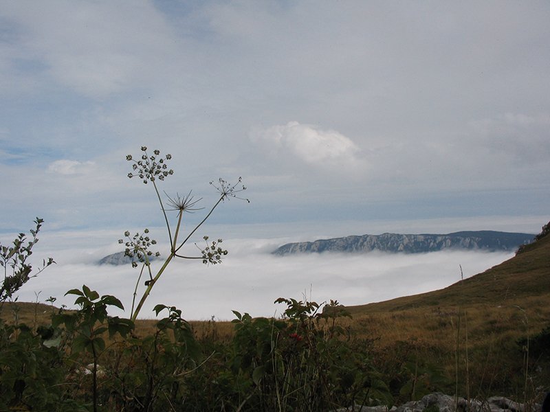 Valožje - Suva Planina
