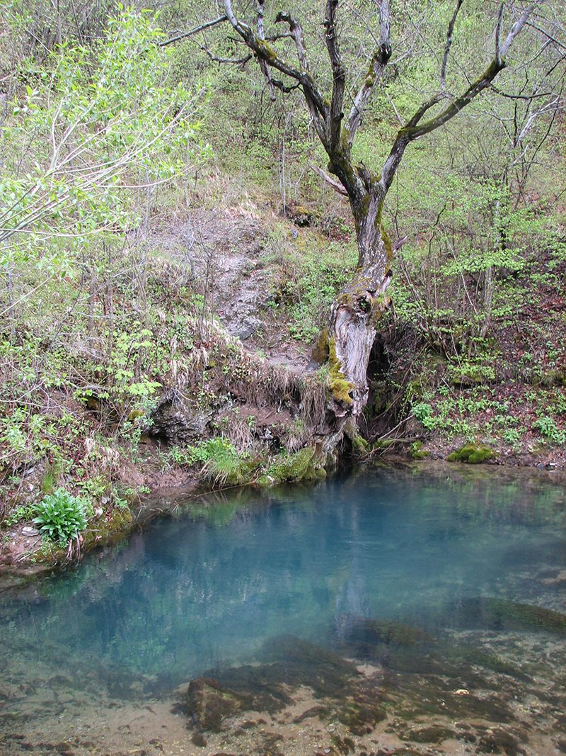 Visočka Ržana - Stara Planina