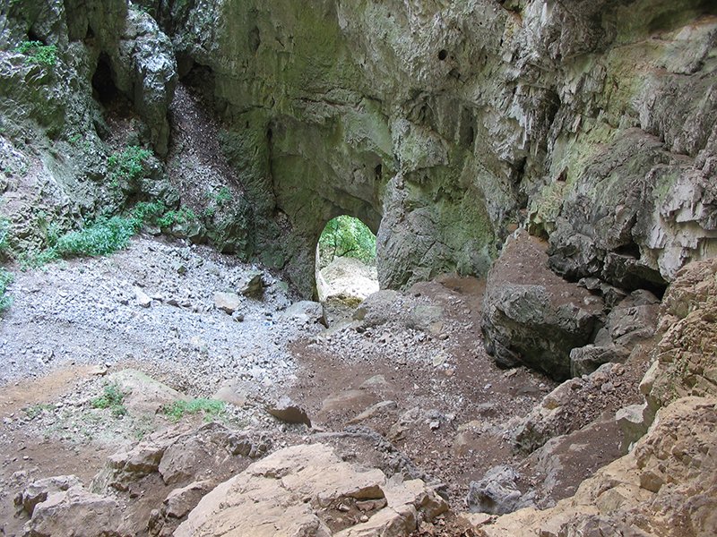 Prerasti reke Vratne