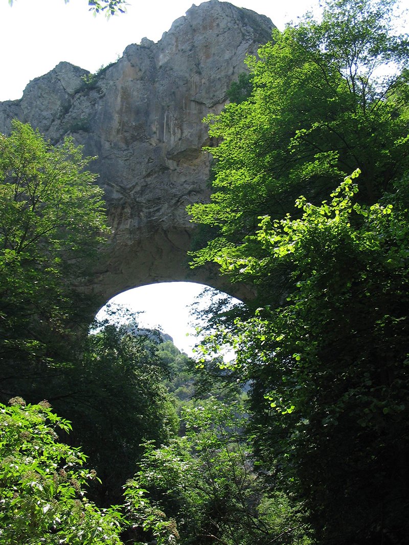 Prerasti reke Vratne