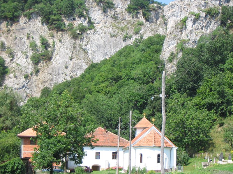 Prerasti reke Vratne