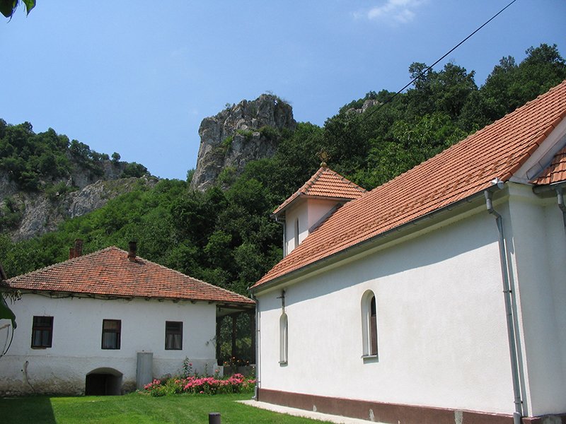 Prerasti reke Vratne