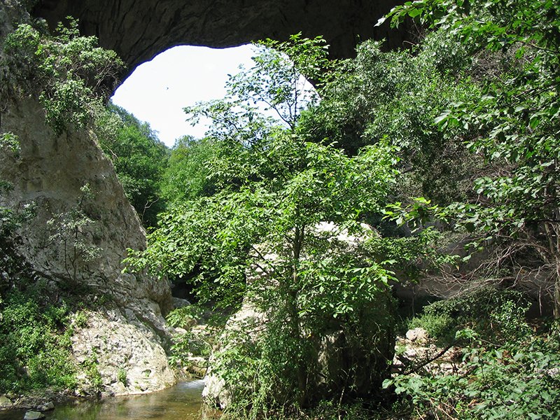 Prerasti reke Vratne