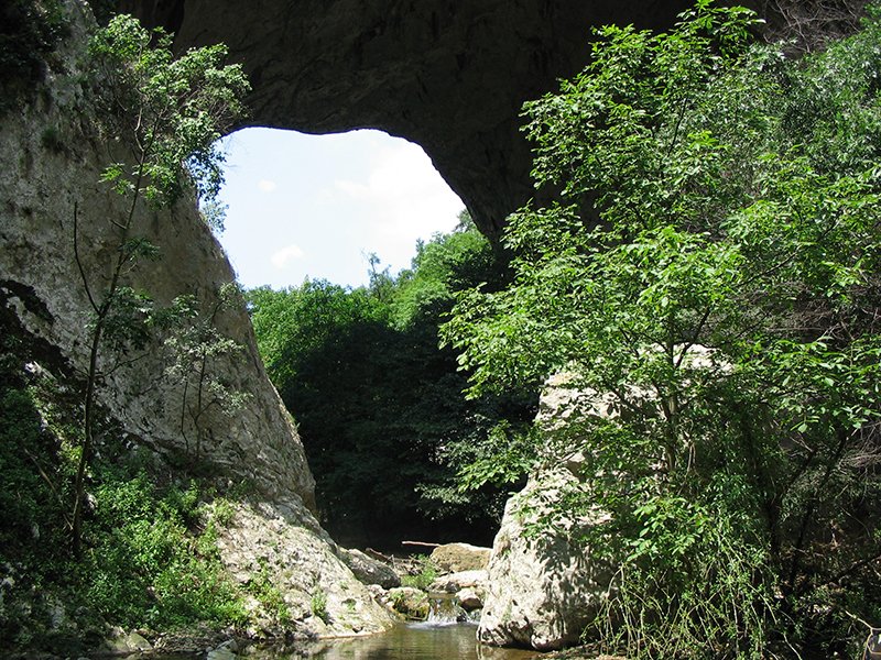 Prerasti reke Vratne