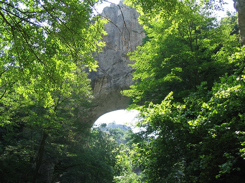 Prerasti reke Vratne