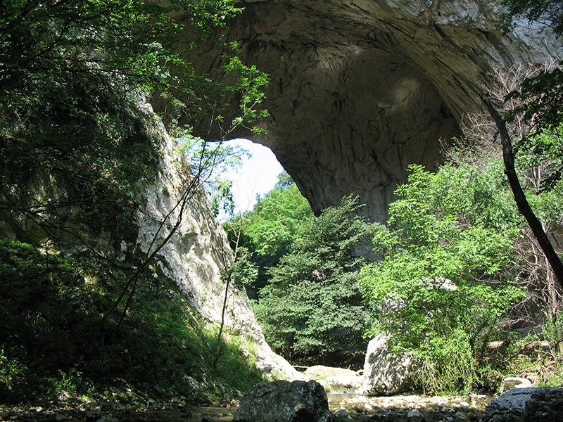 Prerasti reke Vratne