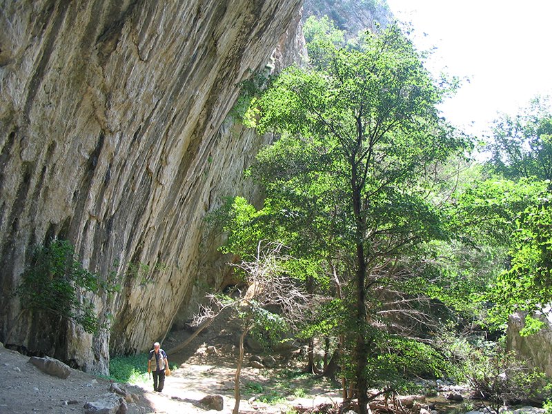 Prerasti reke Vratne