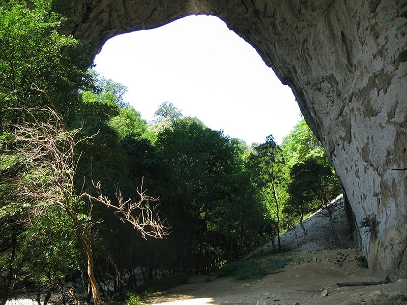 Prerasti reke Vratne